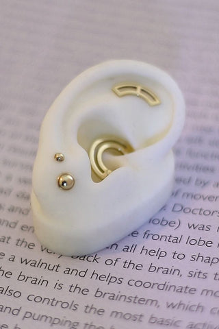 an ear with auri jewelry gold piercings in daith lobe and helix