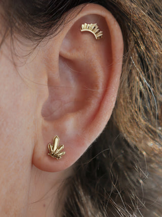Crystal Blast - 14K Gold Crystal Stud Earring