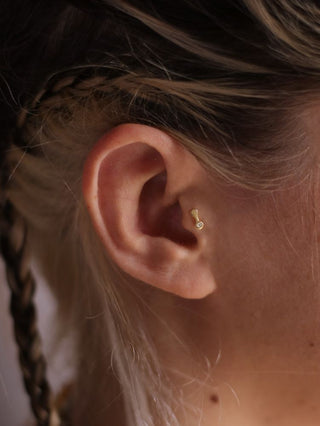 The Small Bone stud ring in 14k yellow gold, in a Tragus piercing