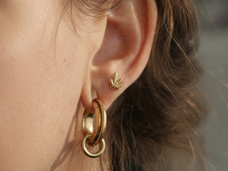 Crystal Blast - 14K Gold Crystal Stud Earring