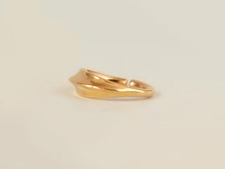 Shark - Solid Gold Seam Ring