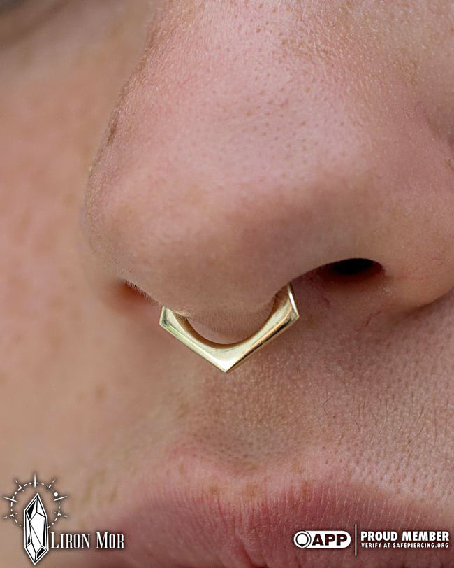 Home | Auri Piercing Jewelry – Auri Jewelry