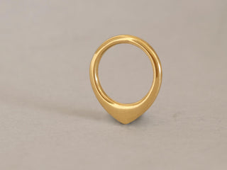 Triangle1 - Dainty 14k God Septum Ring