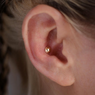 solid gold conch stud