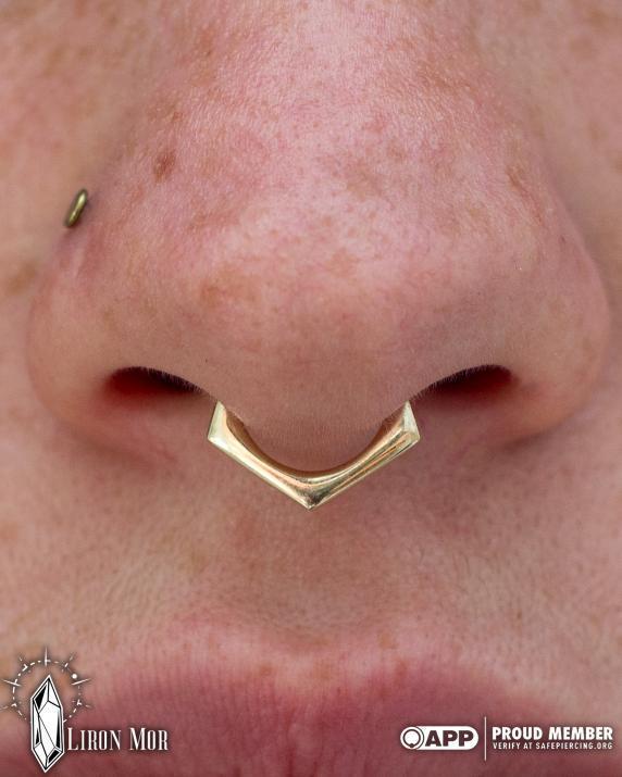Gold Septum Mens Nose Rings For Sale Triangle3 14k Gold Septum